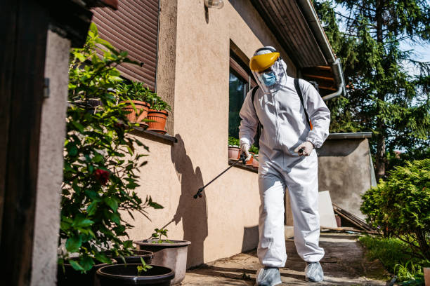 Trusted Shepherdsville, KY Pest Control Experts