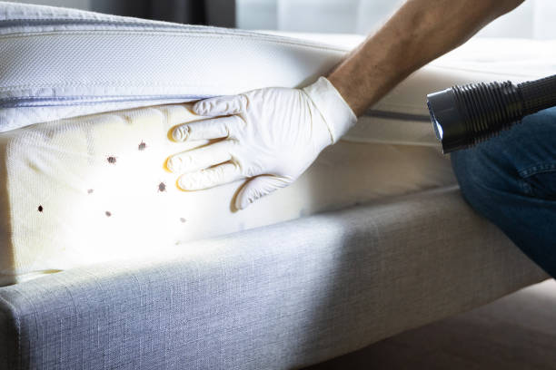 Best Pest Control Near Me in Shepherdsville, KY
