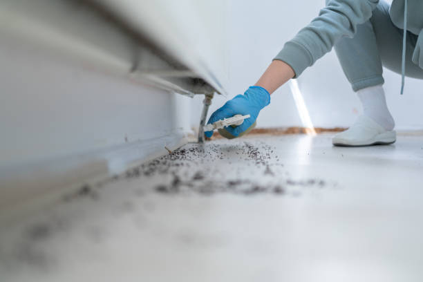 Best Affordable Pest Control Services  in Shepherdsville, KY